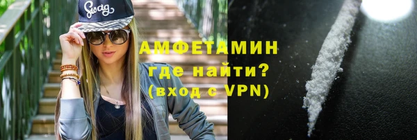 прущие грибы Няндома