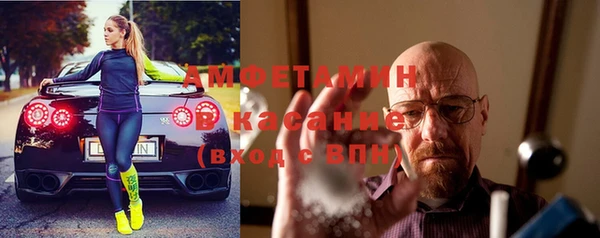 прущие грибы Няндома