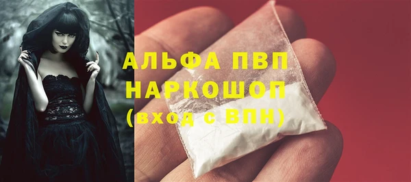 прущие грибы Няндома