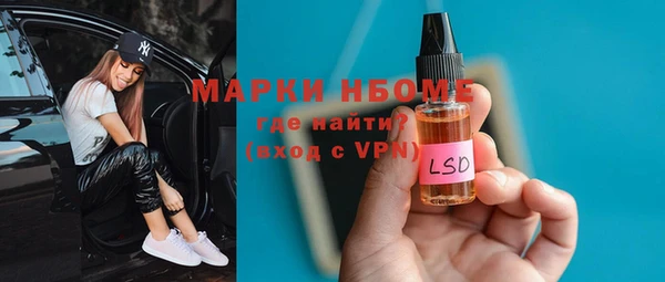 прущие грибы Няндома