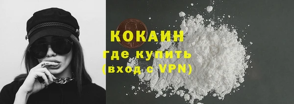 крисы Новодвинск