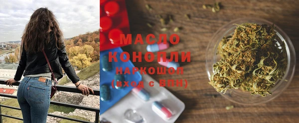 прущие грибы Няндома