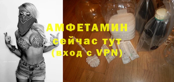 прущие грибы Няндома