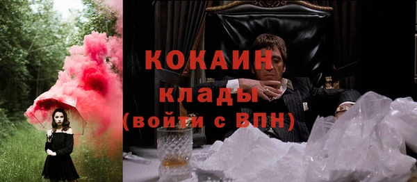 прущие грибы Няндома